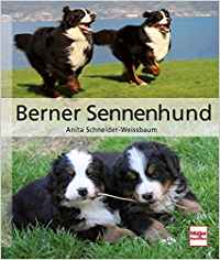 Berner Sennenhund Buch