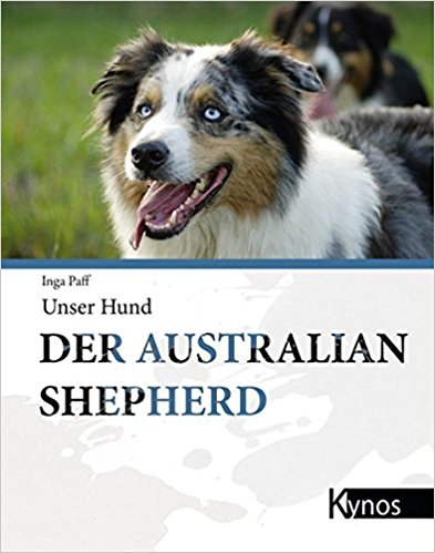 Australian Shepherd - Wesen, Verhalten und Haltung des Hundes