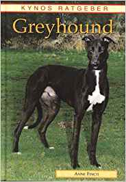 Greyhound Buch